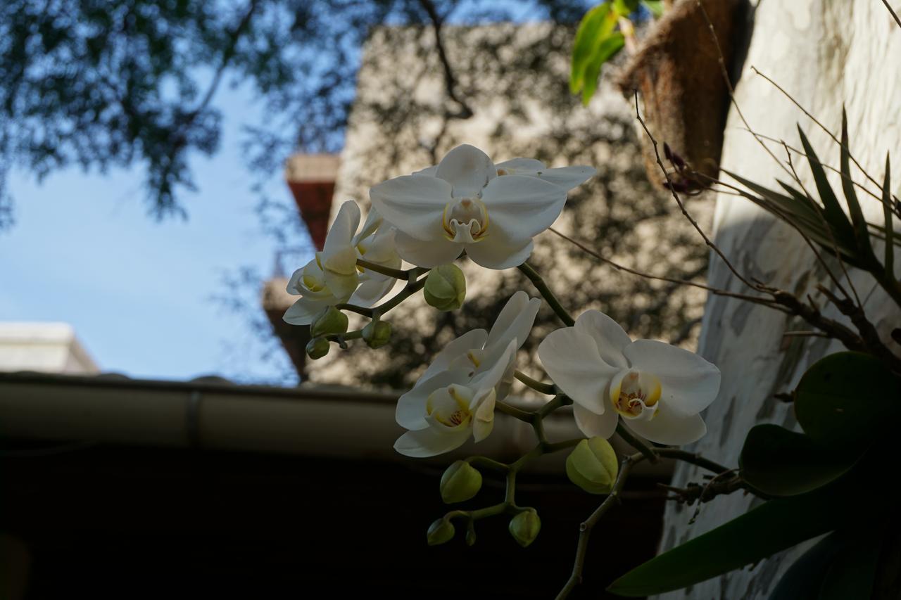Pouso Da Garca Bed & Breakfast Cabo Frio Exterior photo