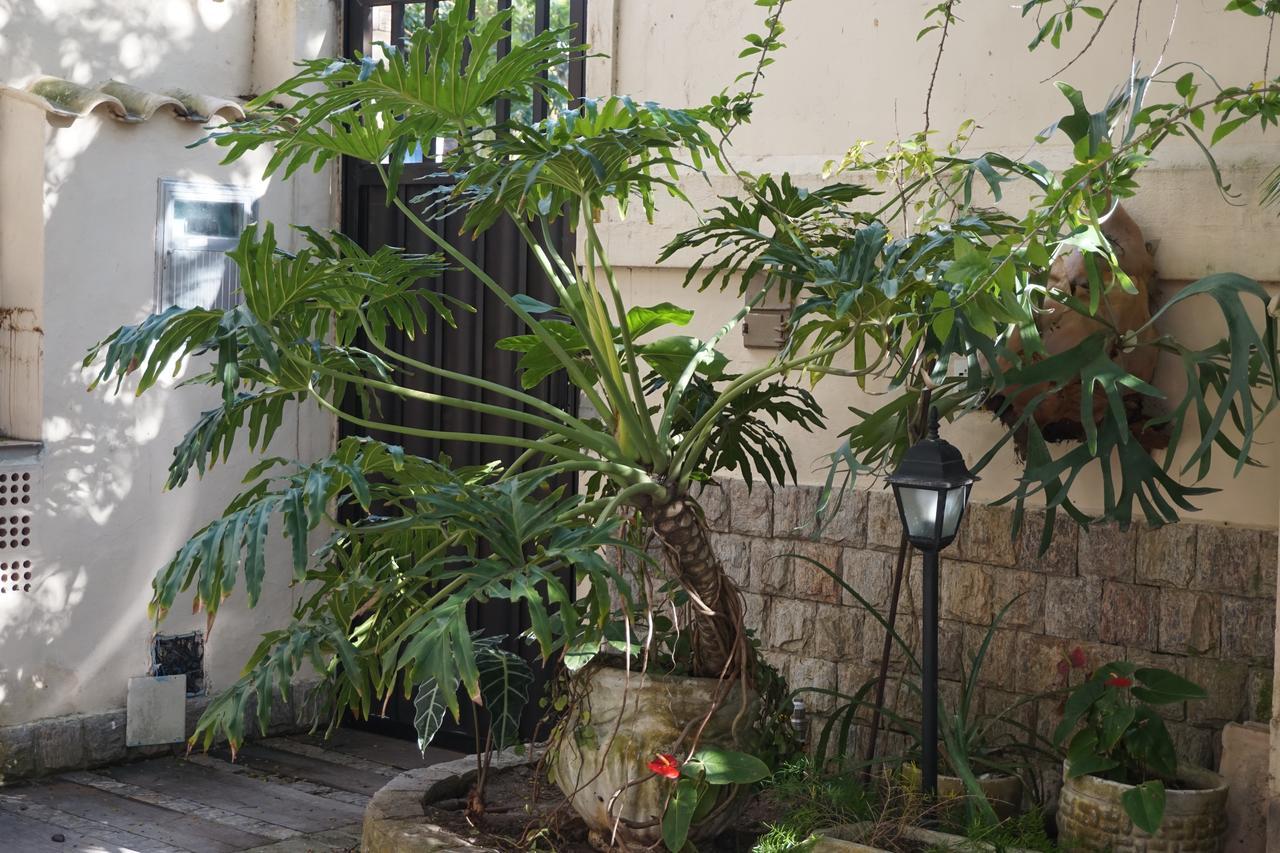 Pouso Da Garca Bed & Breakfast Cabo Frio Exterior photo